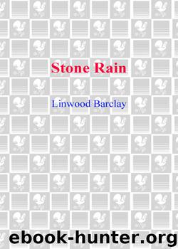 Stone Rain by Linwood Barclay