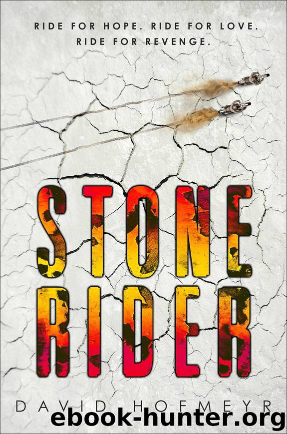 Stone Rider by Hofmeyr David