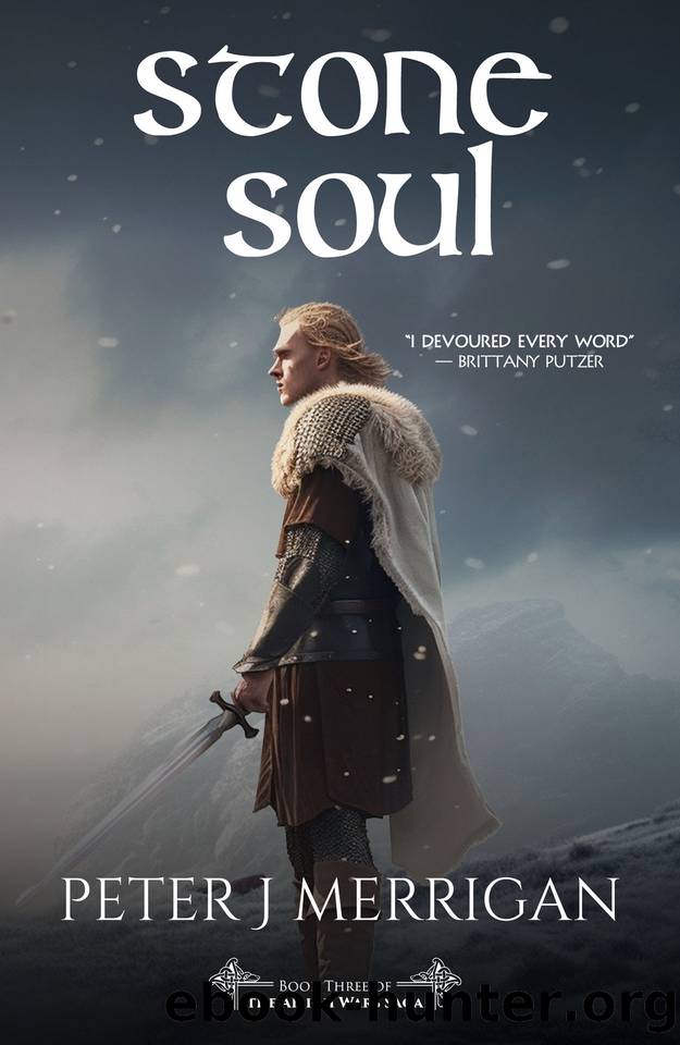 Stone Soul (The Ailigh Wars Saga, #3) by Unknown