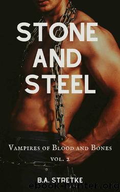 Stone and Steel: Vampires of Blood and Bones by B.A. Stretke