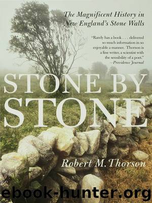 Stone by Stone by Robert Thorson