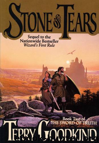 Stone of Tears [Sword of Truth 2] by Terry Goodkind