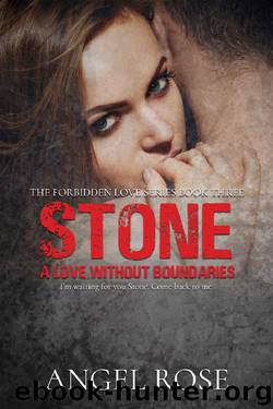 Stone: A Love without Boundaries (The Forbidden Love Series Book 3) by Angel Rose
