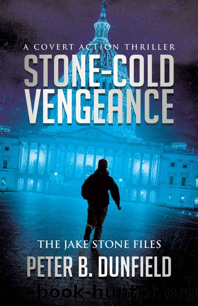 Stone-Cold Vengeance: A Covert Action Thriller by Peter Dunfield