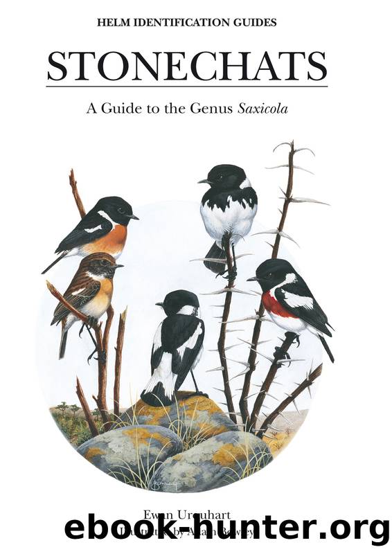 Stonechats by Ewan Urquhart