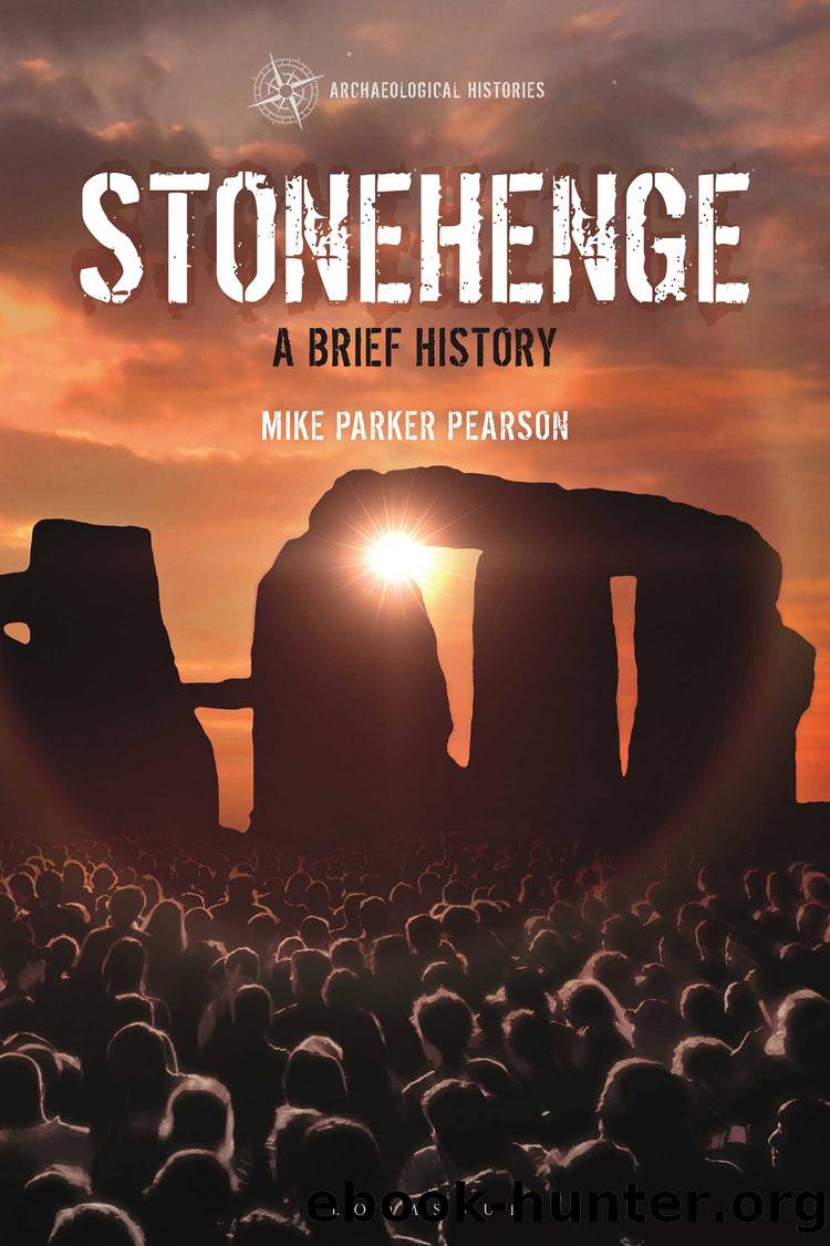 Stonehenge by Mike Parker Pearson;