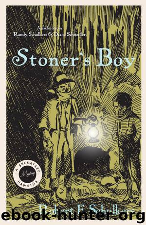 Stoner's Boy by Robert F. Schulkers