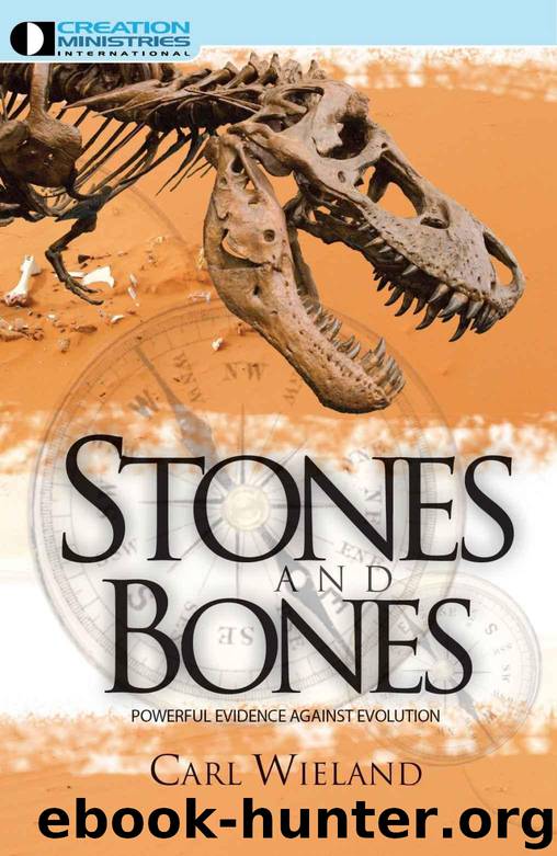 Stones & Bones by Wieland Carl