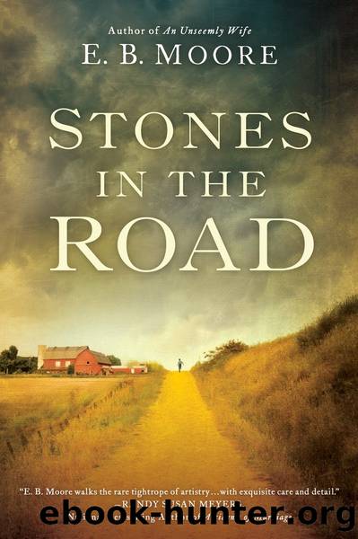 Stones In the Road by E.B. Moore