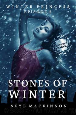 Stones of Winter: (Reverse Harem Serial) (Winter Princess Book 2) by Skye MacKinnon