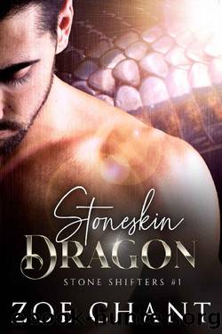 Stoneskin Dragon (Stone Shifters Book 1) by Zoe Chant