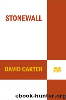 Stonewall by David Carter