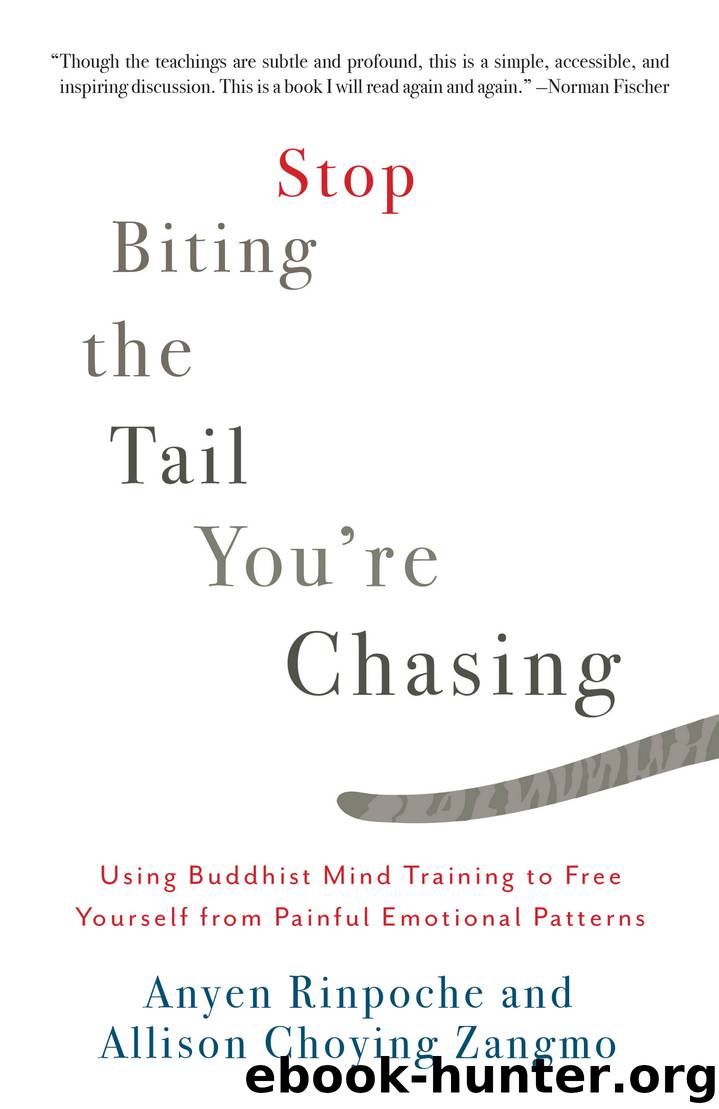 Stop Biting the Tail You're Chasing by Anyen Rinpoche & Allison Choying Zangmo