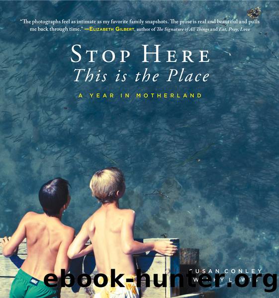 Stop Here, This is the Place by Susan Conley & WINKY LEWIS