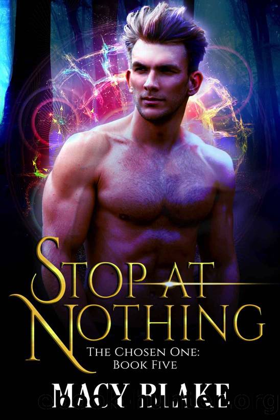 Stop at Nothing: The Chosen One Book Five by Macy Blake