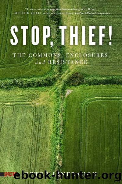 Stop, Thief! by Peter Linebaugh