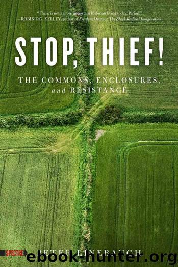 Stop, Thief!: The Commons, Enclosures, and Resistance (Spectre) by Linebaugh Peter