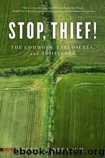 Stop, Thief!: The Commons, Enclosures, and Resistance by Linebaugh Peter