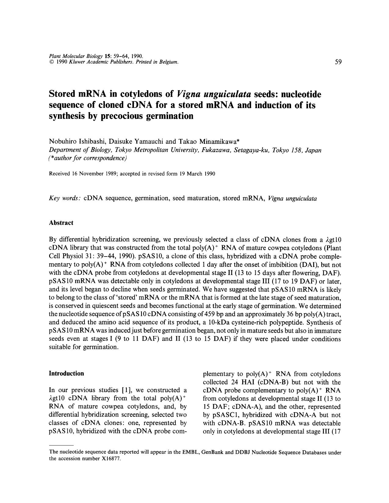 Stored mRNA in cotyledons of <Emphasis Type="Italic">Vigna unguiculata <Emphasis> seeds: nucleotide sequence of cloned cDNA for a stored mRNA and induction of its synthesis by precocious germination by Unknown