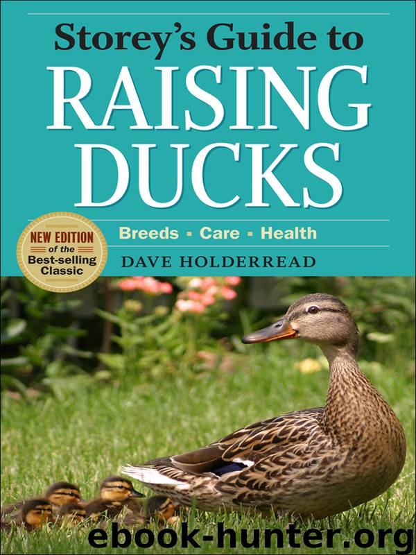 Storey's Guide to Raising Ducks by Dave Holderread