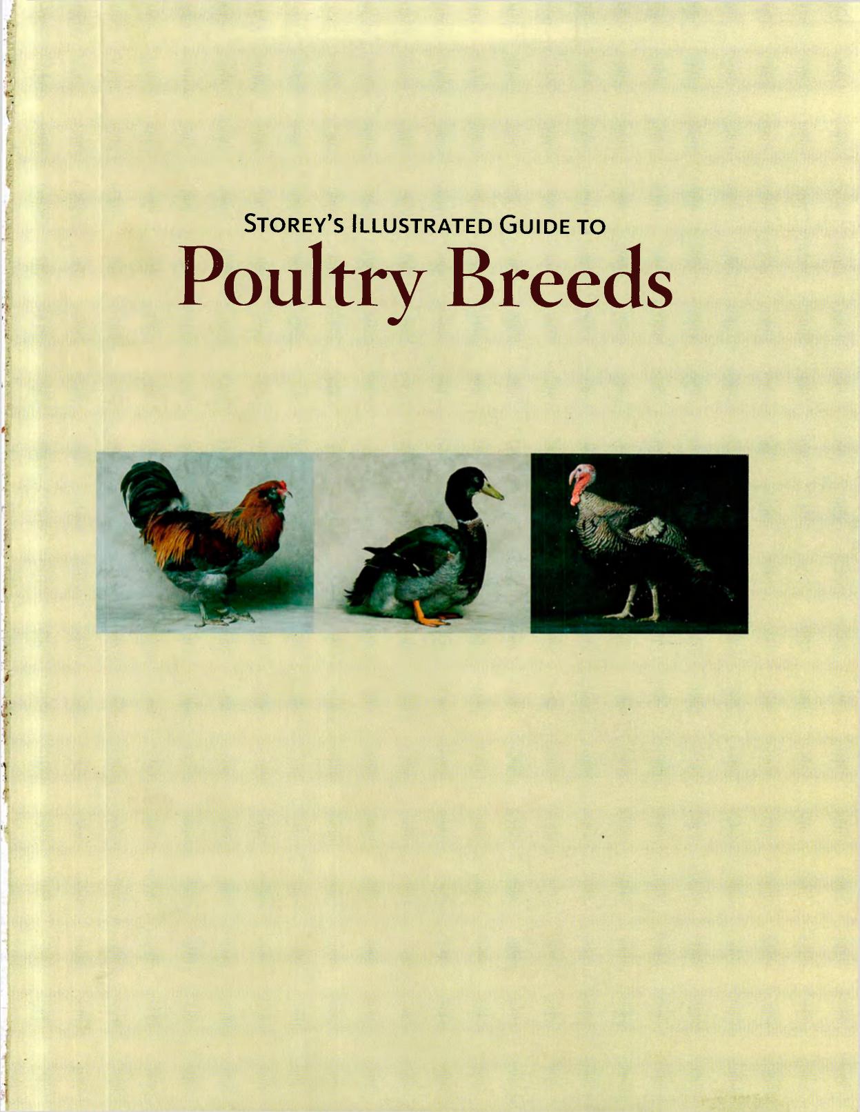 Storey's Illustrated Guide to Poultry Breeds UNEDITED by Unknown