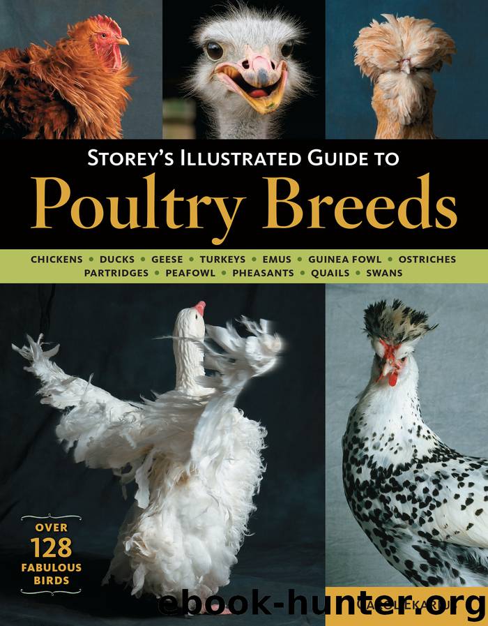 Storey's Illustrated Guide to Poultry Breeds by Carol Ekarius
