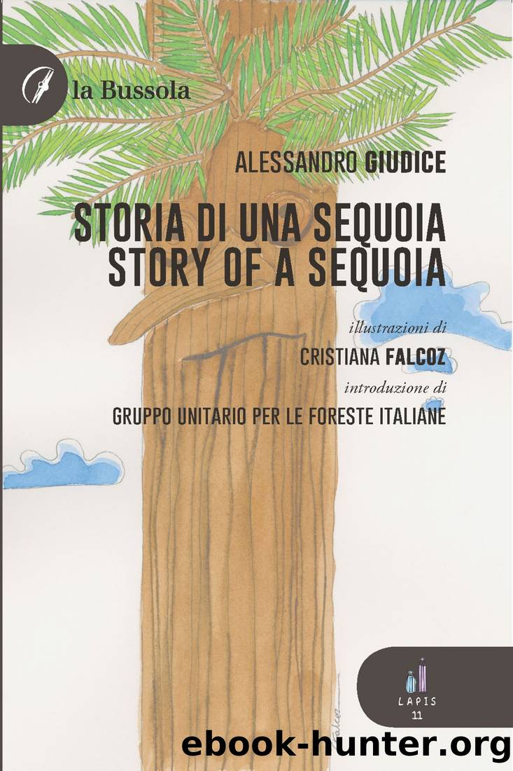 Storia di una sequoia - Story of a sequoia by Alessandro Giudice