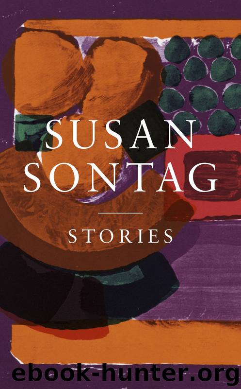 Stories by Susan Sontag