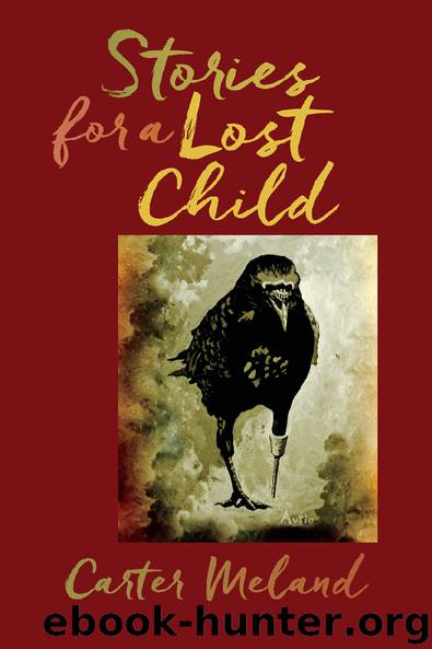 Stories for a Lost Child by Meland Carter