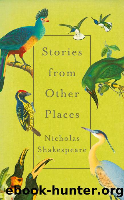Stories from Other Places by Nicholas Shakespeare