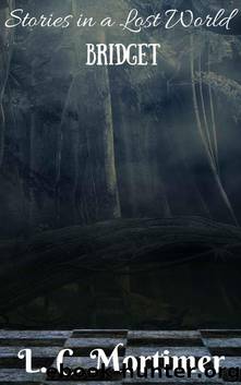 Stories in a Lost World: Bridget by Mortimer L.C