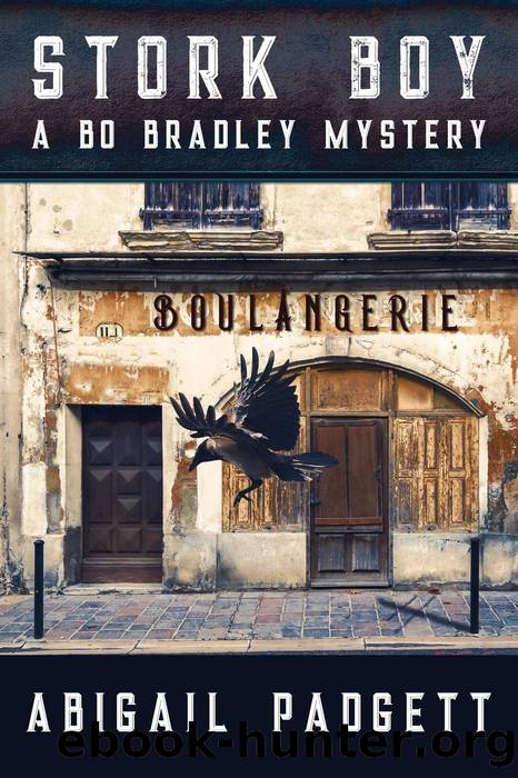 Stork Boy by Abigail Padgett