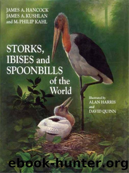 Storks, Ibises and Spoonbills of the World by James Hancock