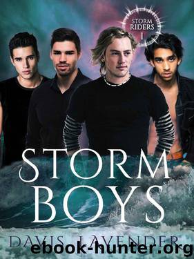 Storm Boys by Davis Lavender