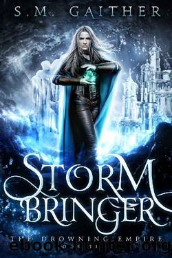 Storm Bringer (The Drowning Empire Book 3) by S.M. Gaither