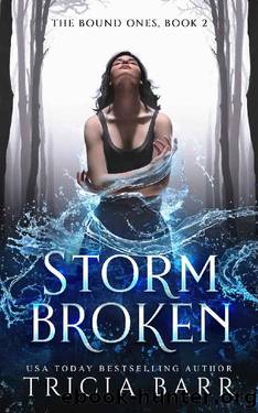 Storm Broken: A Fated Mates Paranormal Romance (The Bound Ones Book 2) by Tricia Barr
