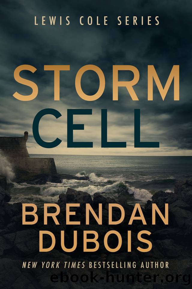 Storm Cell (Lewis Cole Book 10) by Brendan DuBois