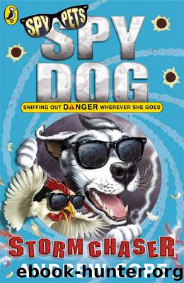 Storm Chaser by Andrew Cope