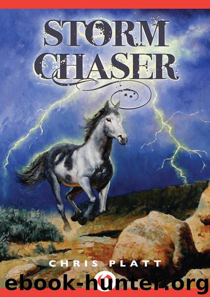 Storm Chaser by Chris Platt