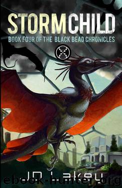 Storm Child: Book Four of the Black Bead Chronicles by J.D. Lakey