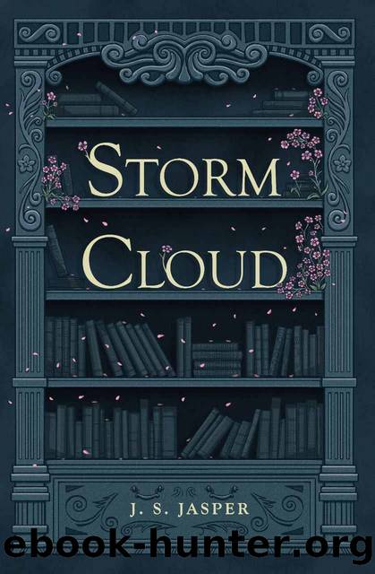 Storm Cloud by J.S. Jasper