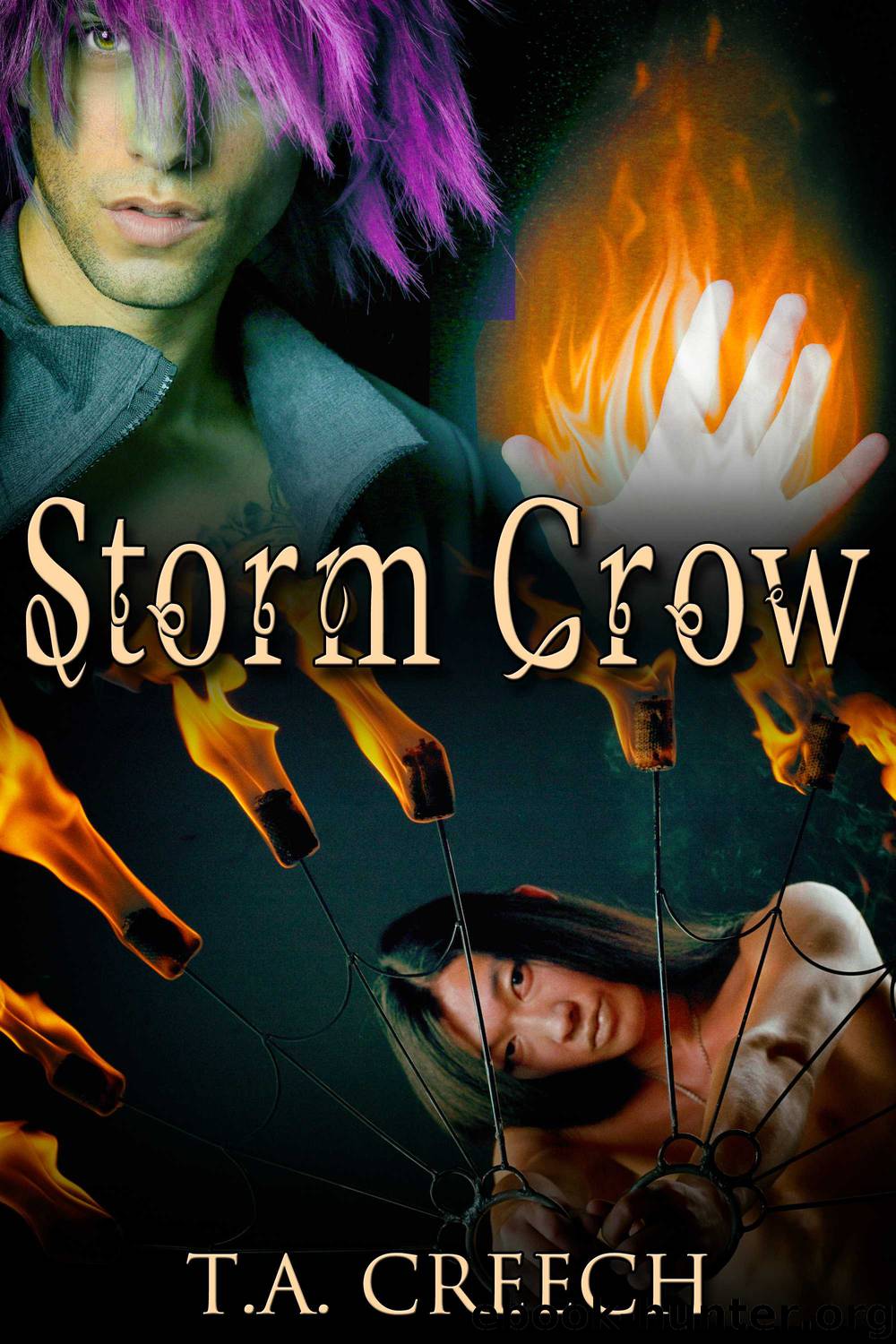 Storm Crow by T.A. Creech