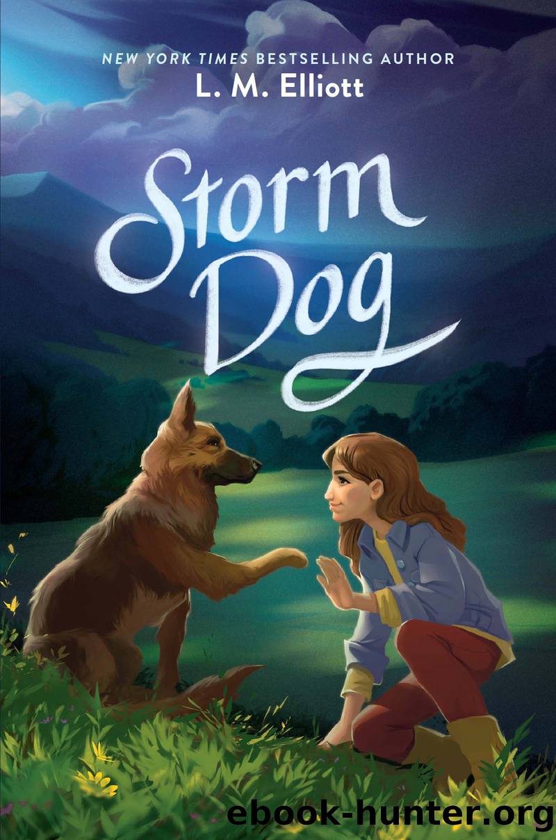 Storm Dog by L. M. Elliott
