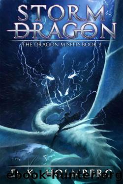 Storm Dragon: An Epic Fantasy Adventure (The Dragon Misfits Book 4) by D.K. Holmberg