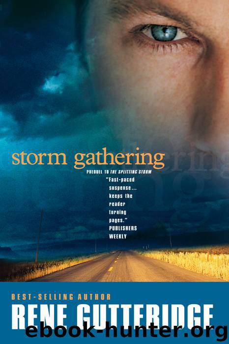Storm Gathering by Rene Gutteridge
