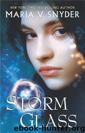 Storm Glass by Snyder Maria V