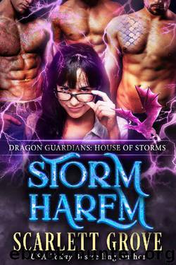 Storm Harem by Scarlett Grove