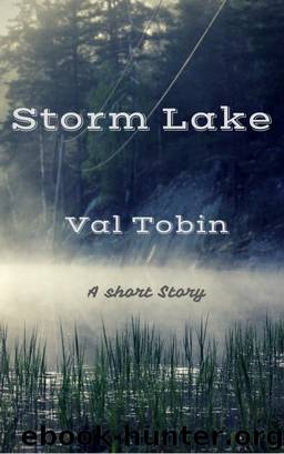 Storm Lake by Val Tobin