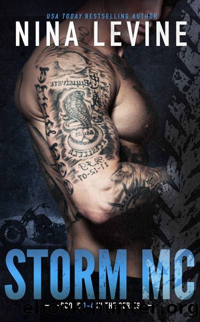 Storm MC Collection Books 1--4 by Nina Levine