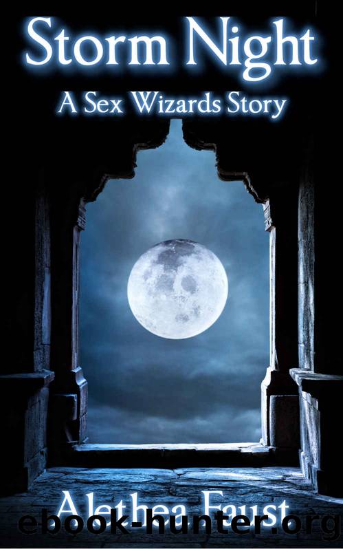 Storm Night: A Sex Wizards Story by Alethea Faust
